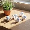 Retro Style Snail Disco Ball Sun Catcher Miniature Snail Desktop Ornaments  Bedroom
