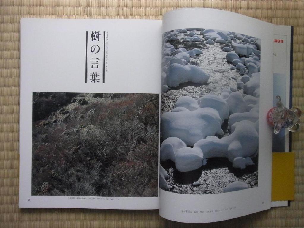 [USED] Showa Photo Complete Works SERIES13 Shinzo Maeda Art Photo Collection Asahi Shimbun