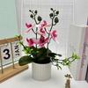 Accessories Simulation Bonsai Plastic Fake Plant Flower Potted  Home Office Decoration