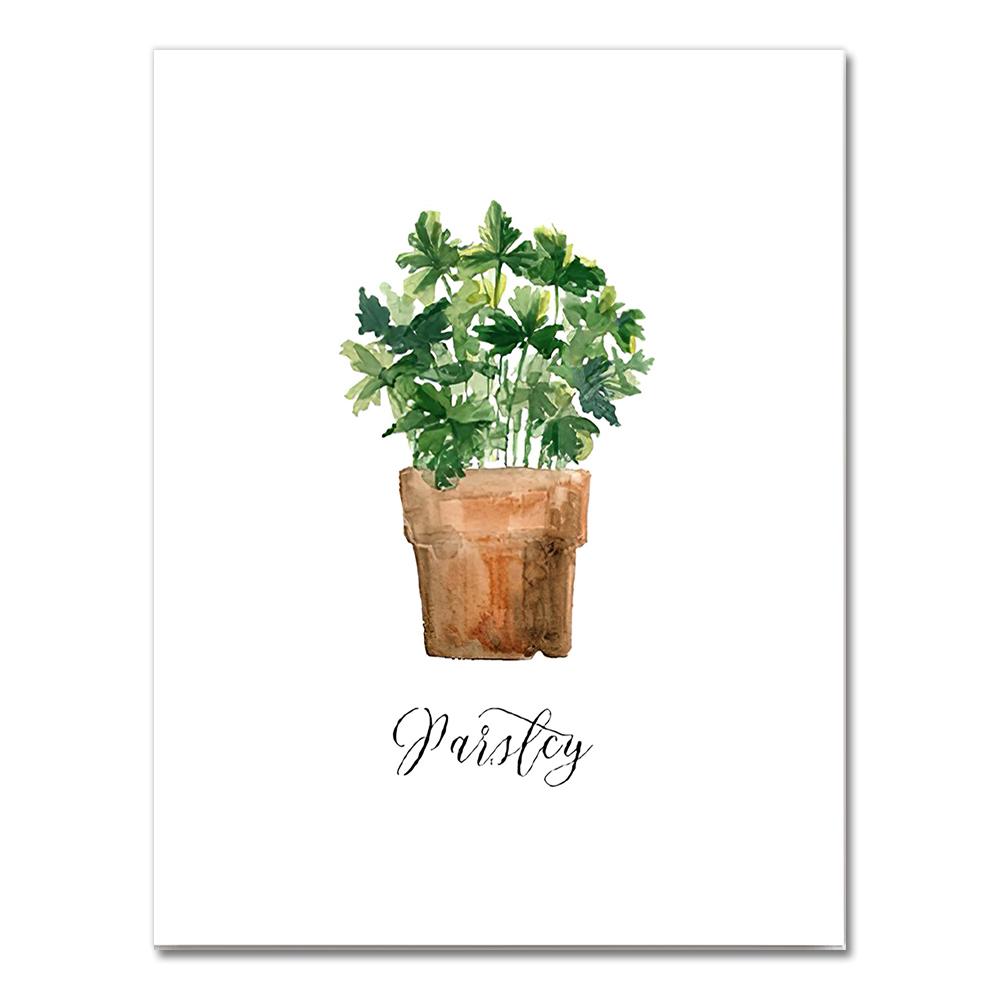 Watercolor Herb Collection Kitchen Wall Art Canvas Posters Prints Decor Oregano Thyme Rosemary Parsley Art Painting Pictures 21X30CMNo Framed