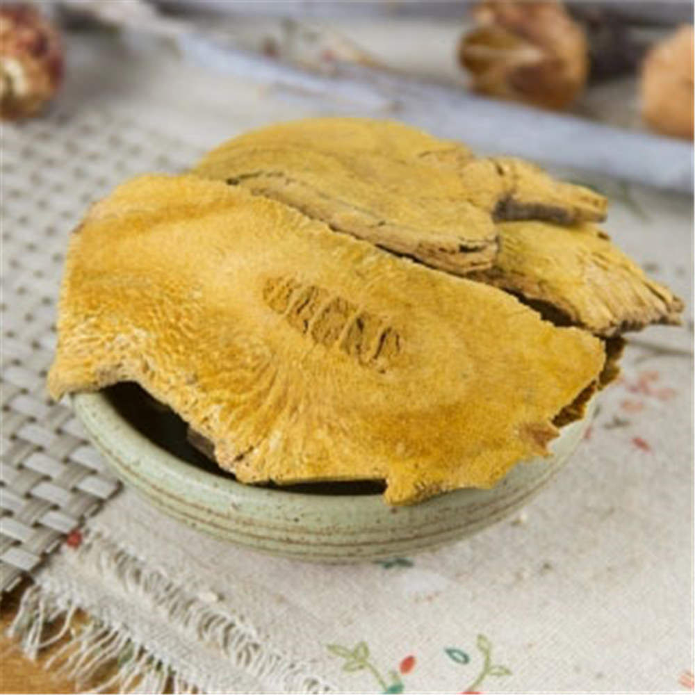 100% Natural Fallopia Japonica Polygoni Cuspidati Chinese Herb Tea