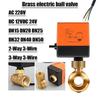 AC220V DC12V 24V Messing Elektrisches Gewinde Kugelhahn DN15 DN20 DN25 DN32 DN40 2-Wege 3-Draht Magnetventil Wasserventil mit Antrieb