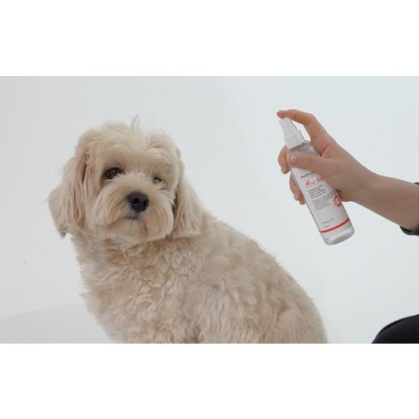 Bridgetail Petocera Dog Cat Hypoallergenic Moisturizing Mist Unscented, Korean pet shampoo
