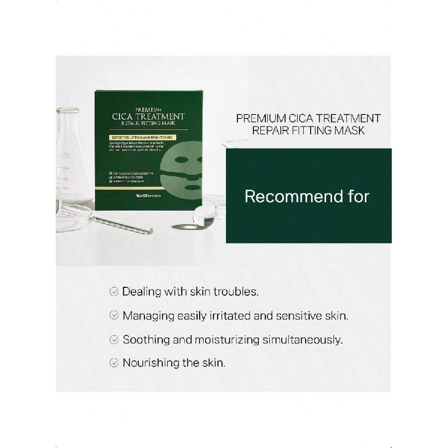 WellDerma Premium Cica Mask Treatment 4ea(25g) Hydrogel Facial Mask For Sensitive Skin Centella Asiatica Soothing Repairing Firming Korean Skincare