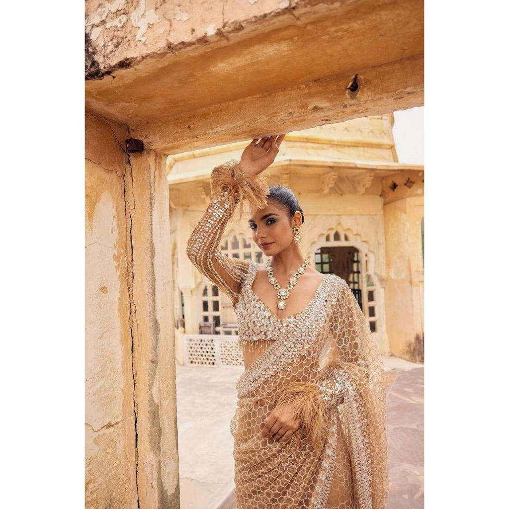 Hochwertiger Saree mit Schmetterlingsnetz-Stickerei