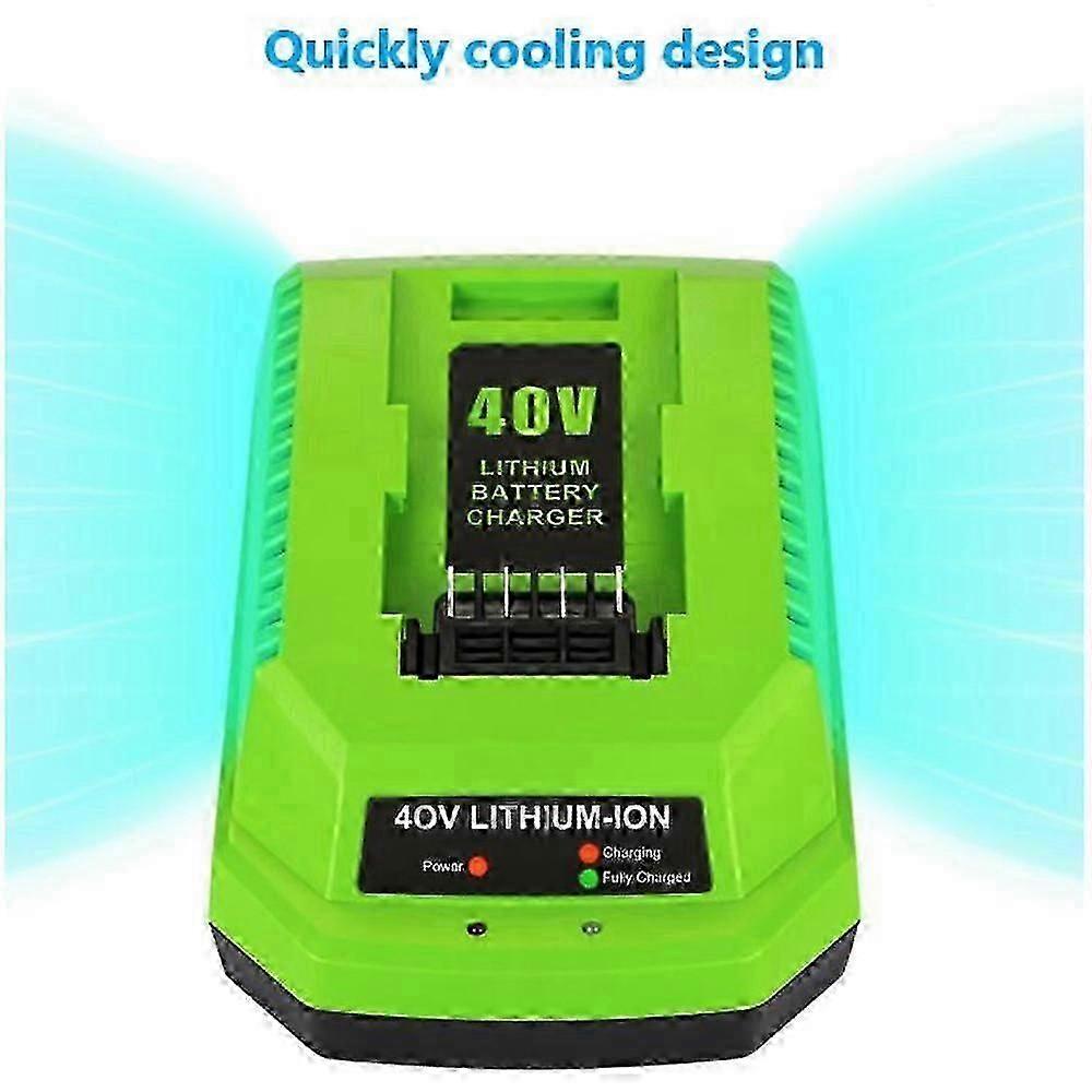 Caricabatterie al Litio 40V per Greenworks 29482 G-max 40V - Batteria 29472 29482 29652 G40825 Eu Pl