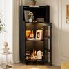 Black Corner Cabinet with Lacquer Finish & LED Lighting – Corner Dresser with App Control, for Living Room, Bookshelf, Bathroom (63.5*124 cm, Black)