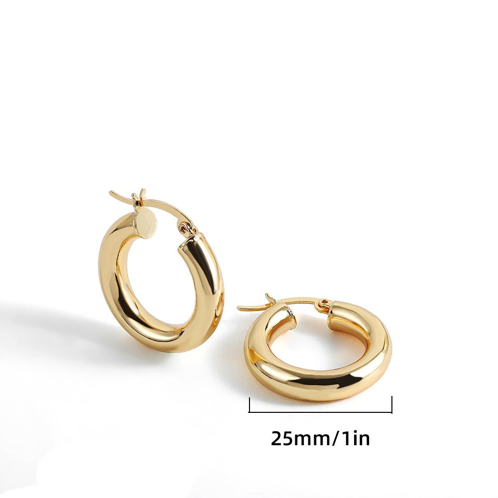 

New Trendy Geometric Twisted Thick Hoop Earrings Fashion Gold Color Big Round Circle Earrings for Women Punk Hiphop Zircon Gift