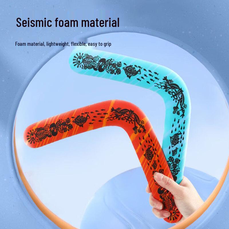 Kids' Outdoor Boomerang Toy