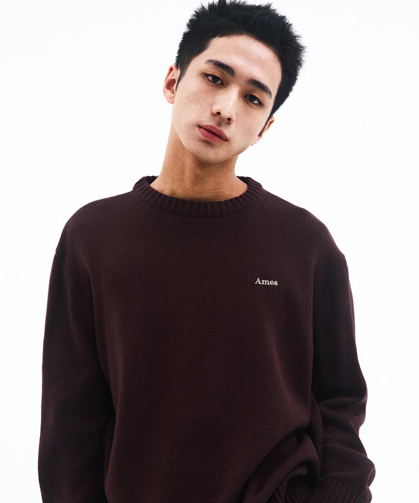 AMES-WORLDWIDE Basic Small Logo Knit Brown