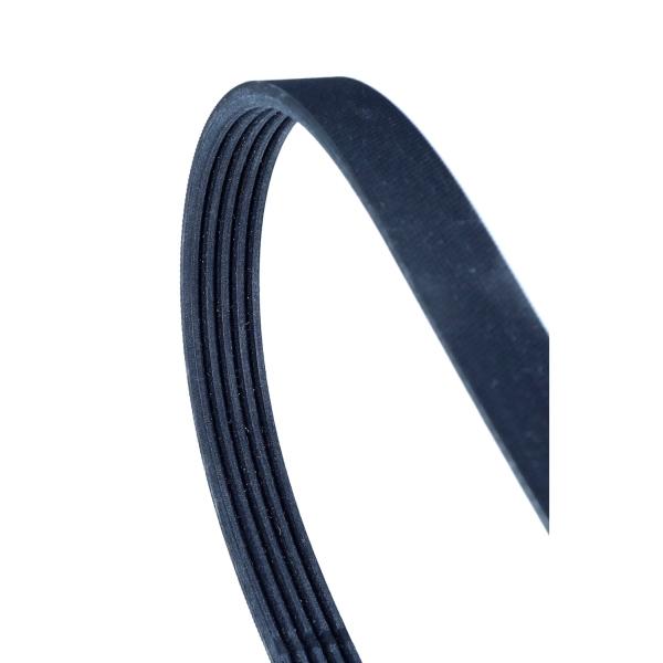CONTITECH 5PK884 V-Ribbed Belt