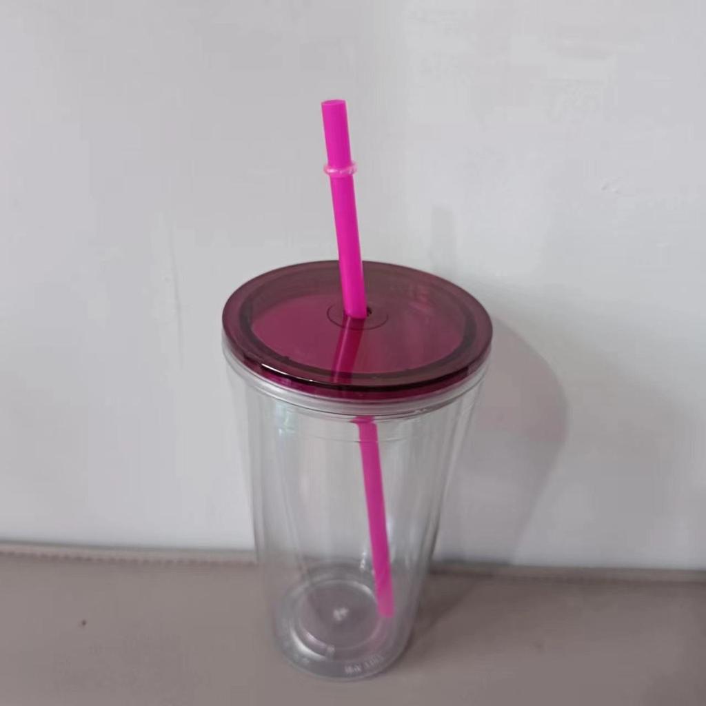 Customizable 16OZ Double-Layer Plastic Straw Cup with Lid and Logo