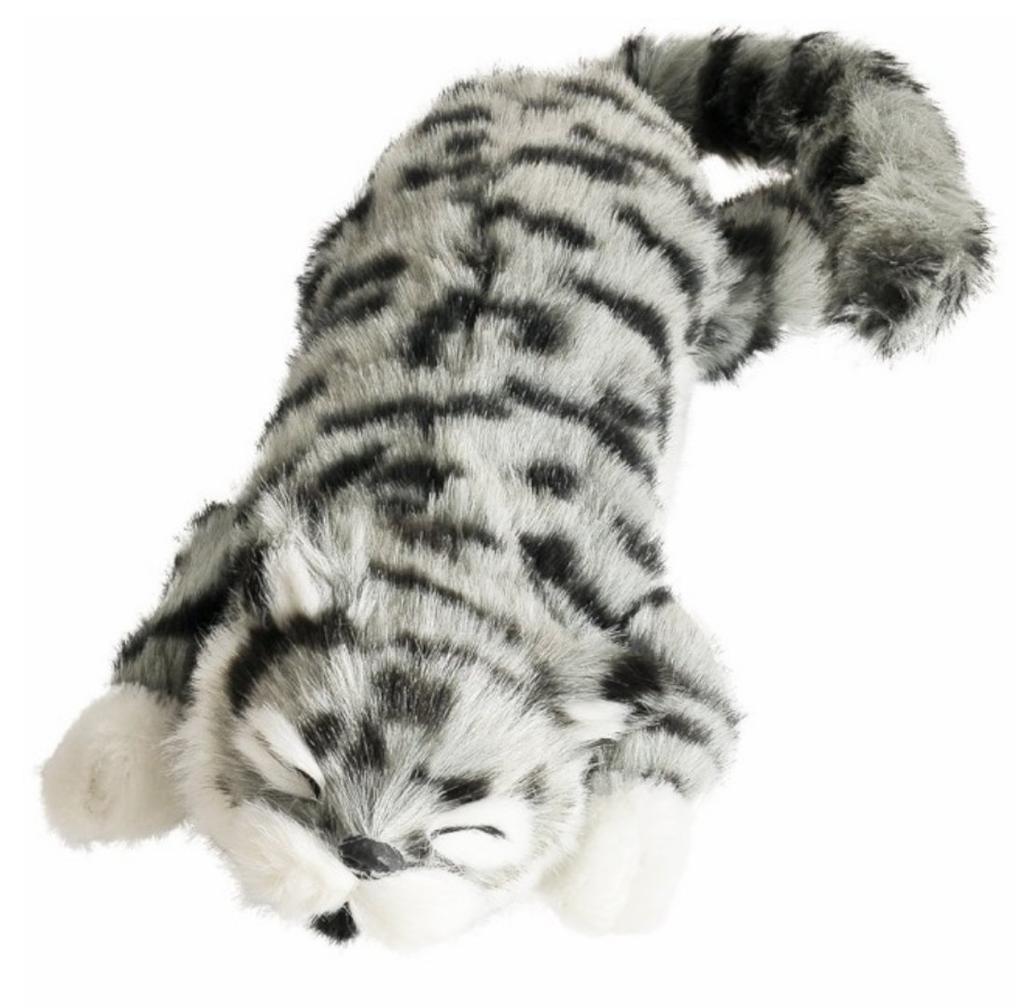 SPACERAIL Laughing Gray Cat,