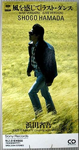 

CD SHOGO HAMADA - Kazewokanjite SRDL3294 Japan Japanese Pop/Rock Used