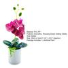 Bonsai artificiali Innovativa superficie liscia in PVC Moda Aspetto vivido Simulazione Farfalla Orchidea per soggiorno