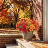 Künstliche Blumenarrangements für das Wohnzimmer, künstliche Chrysanthemenblumen für den Außenbereich, UV-beständige künstliche Herbst-Chrysanthemen, dekorativer Kunststoff für den Esstisch