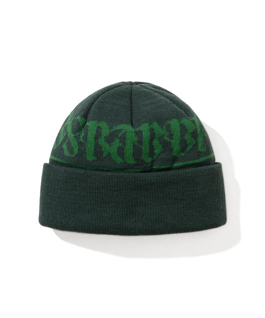 Bieseulaebis Logo Pattern Beanie Green