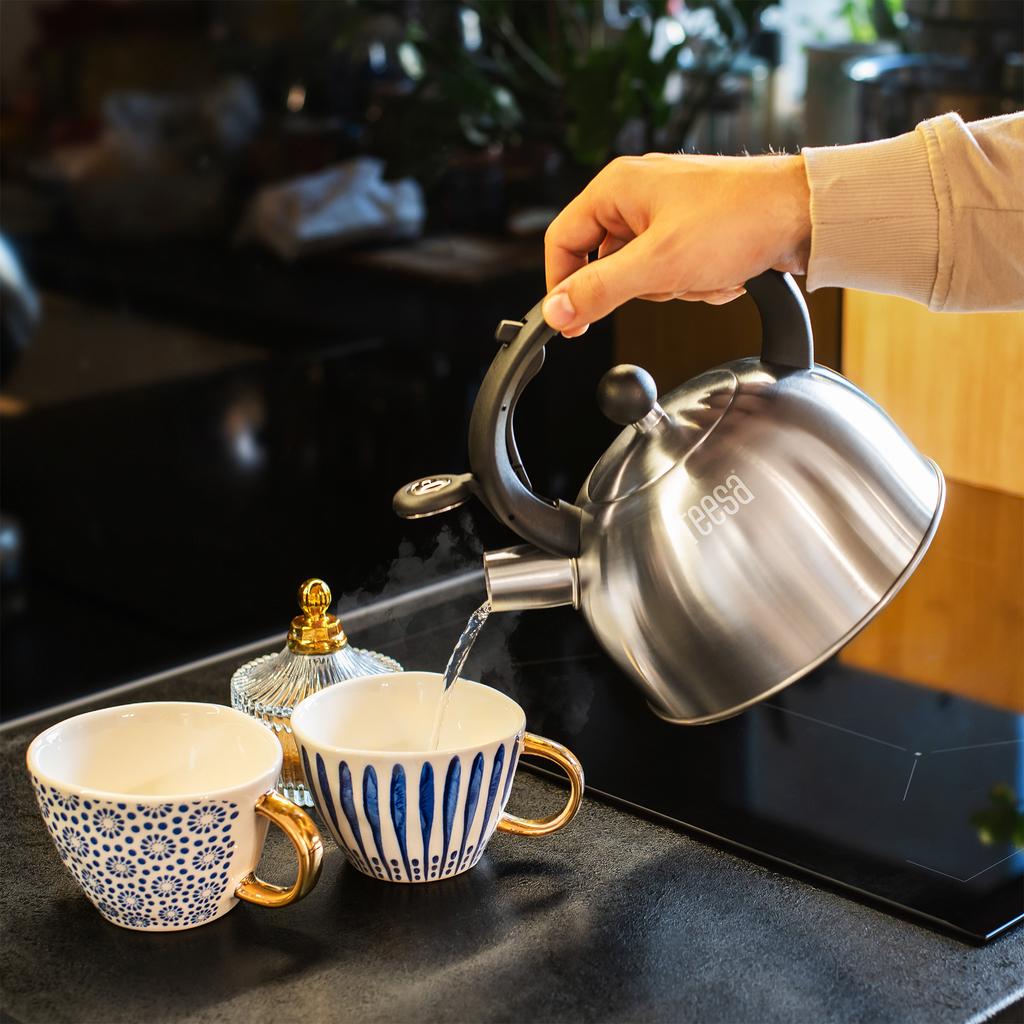 Teesa stainless steel kettle with whistle 2L gas induction