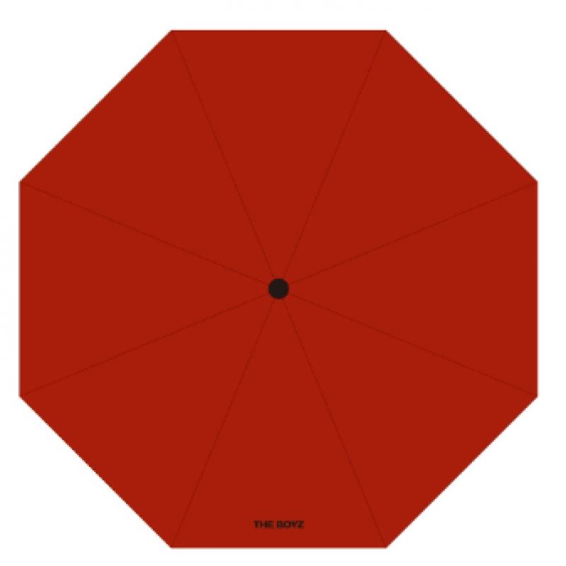 The Boyz   Umbrella   02