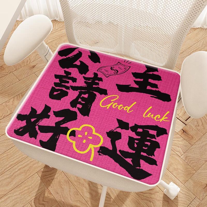 Fumaide Non-Slip Office Chair Cushion