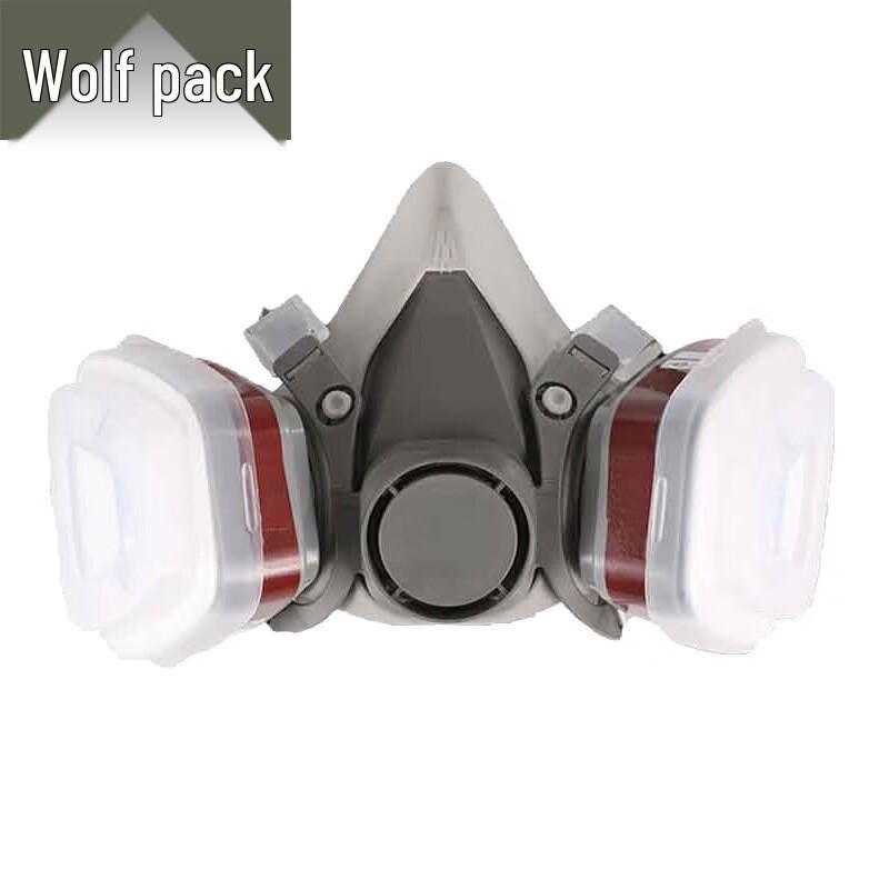 Conglang 6200 Protective Gas Mask with Dual Filter Cartridges