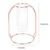 Transparent Hydroponic Plant Vases Flower Pot Tabletop Home Decorations