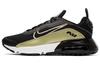 Air Max 2090 'Black Metallic Gold Star' Gs CJ4066-006