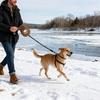 Warm Dog Leash Winter Dog Leash with Built-in Thermal Mitten Waterproof Glove No More Freezed Hand When Walking Dogs In Winter for Pet Owners