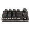 Mini 12 Key Keypad with 2 Knob Blue Switch DIY Programmable Wired Connection Plug and Play One Handed Mechanical