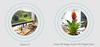 Foscam HD PoE P2P Zoom IP Camera FI9900EP 2.0M