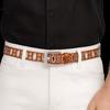 Zinc Zinc Alloy Buckle PU Leather Waistband Vintage Unisex Belt Fashion Oval Multihole Belt  Streetwear