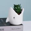 Ceramic Animal Vase Creative Hydroponic Flower Holder Plant Pot  Dried Flower