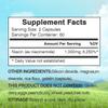 XEMENRY Niacinamide Vitamin B3, 1000 Mg Per Serving, Beneficial for Heart Health, Brain Function, and Revitalizing Skin.