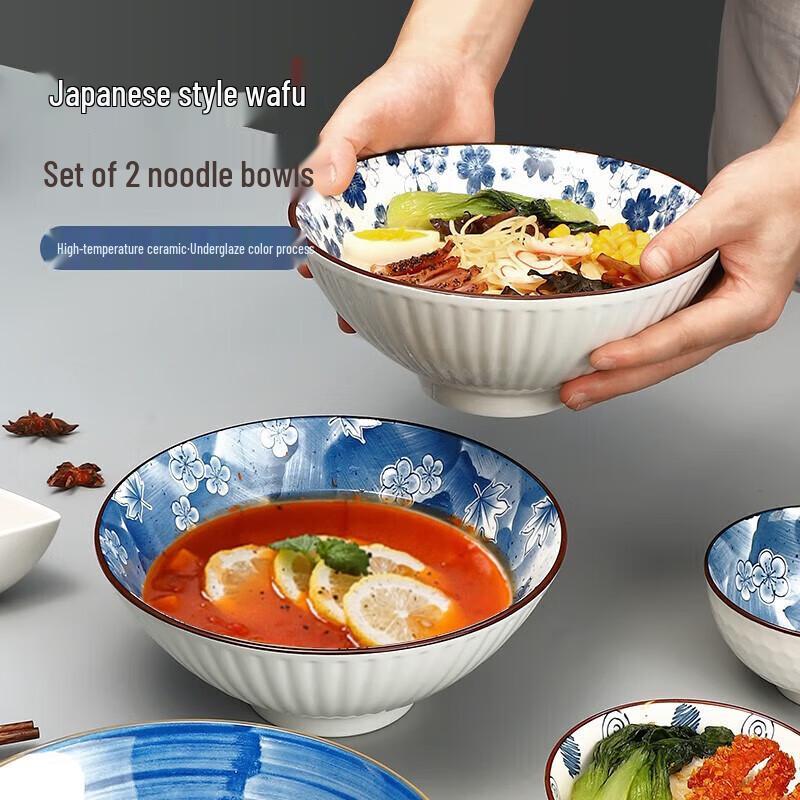 Maxcook 8-inch Japanese Ceramic Soup & Noodle Bowls (Set of 2)