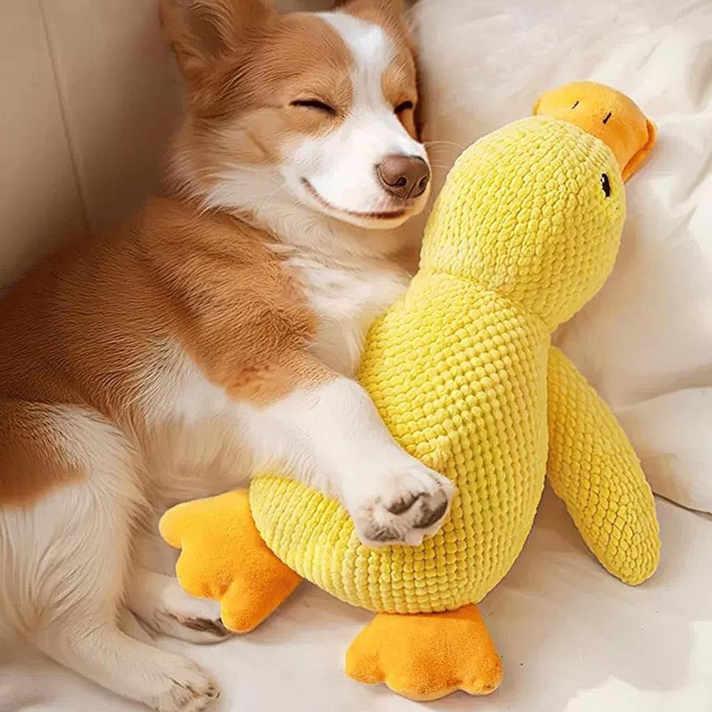Duck Dog Toy Squeaky Interactive Soft Comfort Teething Supplies Dog Toys Plush for Travel Beach Pool Park Yard Bedroom Garden