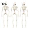 Mini Skeleton Props for Halloween Realistic Figure, 40cm Posable Joints Hanging Skull Decoration, Flexible Jointed Figures Plastic Bones Haunted