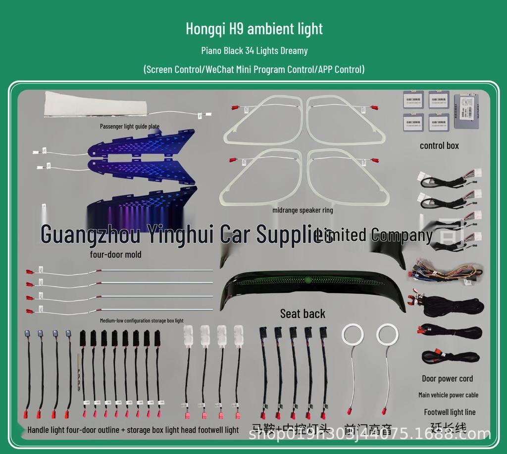 256-Color Dynamic Ambient Light Kit for Hongqi H9