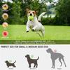 Dog Tennis Ball Launcher Dogs Chase Automatic Automatic Fun Interactive Machine Fun Interactive Catapult Throw