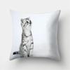 Cute Cat Print Decorative Cushion Pillowcase  Cover Pillow Sofa Living Room