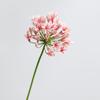 Long Branch Agapanthus Flowers Branch Fake Artificial Flower Fake Lotus Flower  Table Accessories
