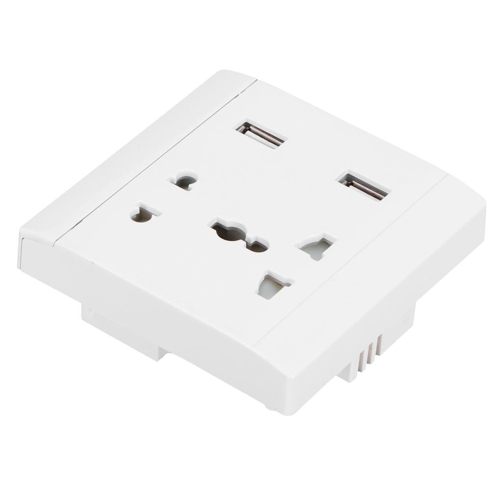 13A Multifunctional Wall Power Outlet Socket with 2 USB Port Home Improvement 110/