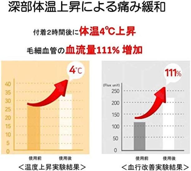 Back pain relief Large type 4 sheets x 11 set Directly applied new sensation heating sheet for back pain and stiff shoulders device [Medical