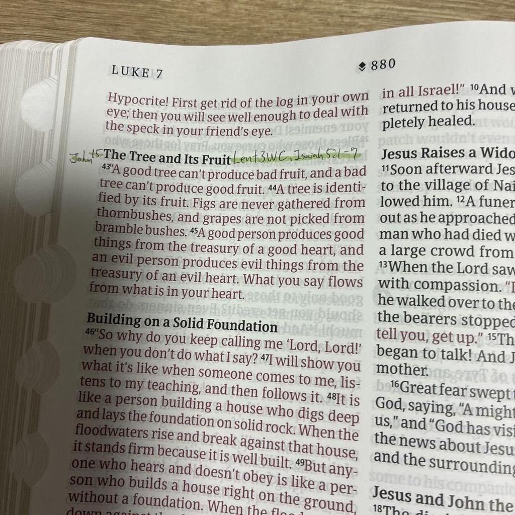 [USED] New Living Translation bible large print