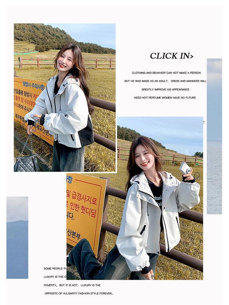 Women's Light Luxury Color Block Hooded Windbreaker - Spring/Autumn Slim Fit Casual Jacket (2025)