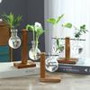 Creative Glass Desktop Planter Bulb Vase Wooden Stand Hydroponic Plant Container Home Tabletop Decor Vases