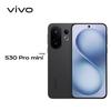 Vivo S30 Pro Mini 5G AI Smartphone (CN Version)