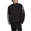 adidas Originals Trefoil Parley TT Şerit Baskılı Logolu Fermuarlı Ceket Erkek Dış Giyim Siyah HN7030