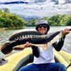 Měkká rybářská návnada na žabky topwater 9ks s krabičkou na okouny Pike Snakehead Dogfish Pižmový