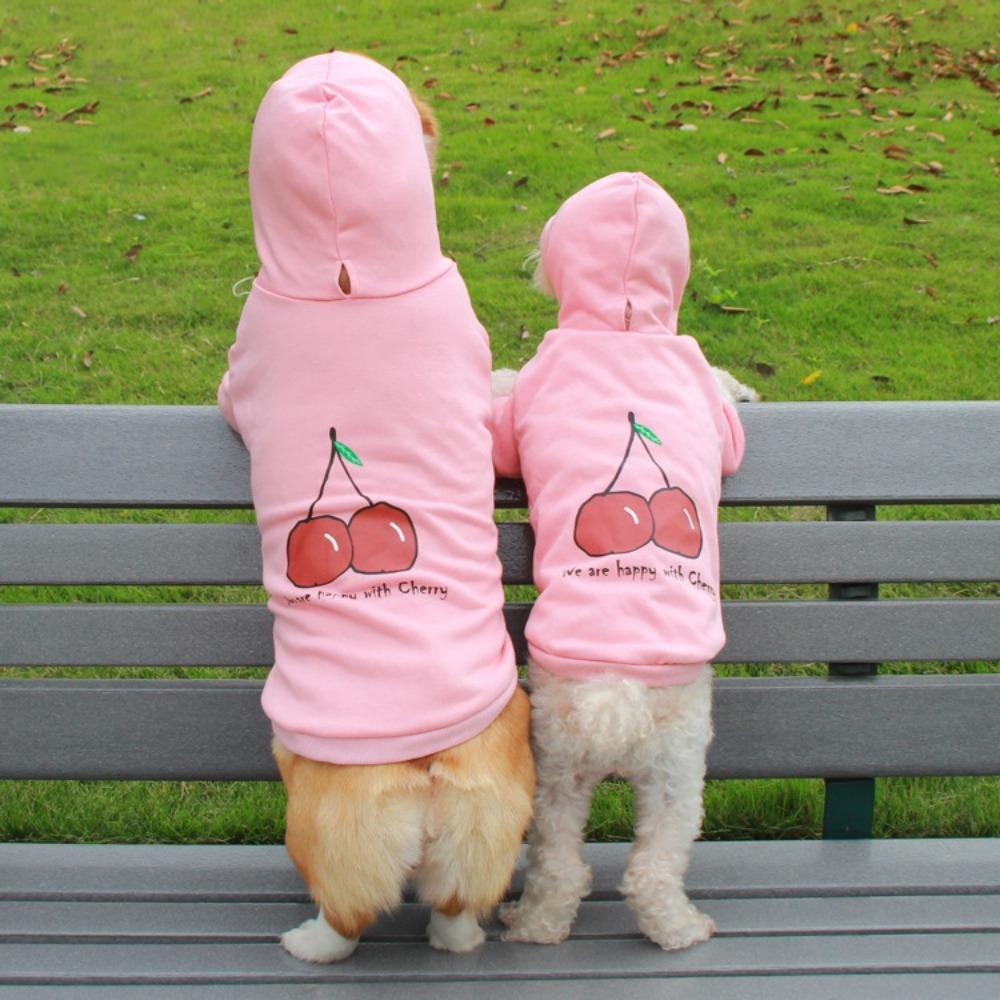 Pet it cartoon cotton dog sweater corgi teddy puppy cherry clothes amazon pet clothing