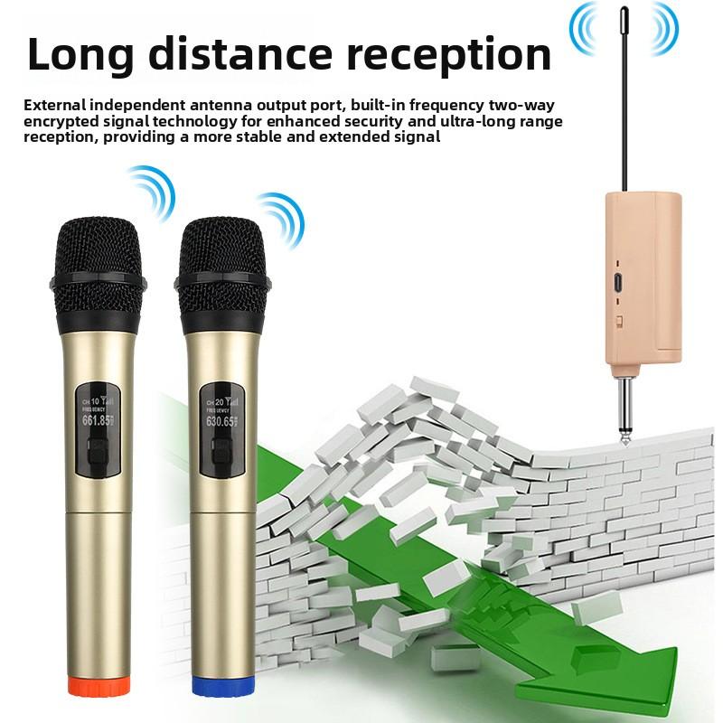 Microphone 1-to-2 Wireless Microphone Outdoor Stage KTV Conference Home Karaoke Sound Equipment